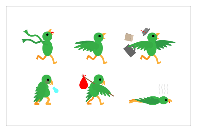 Kea Birds
