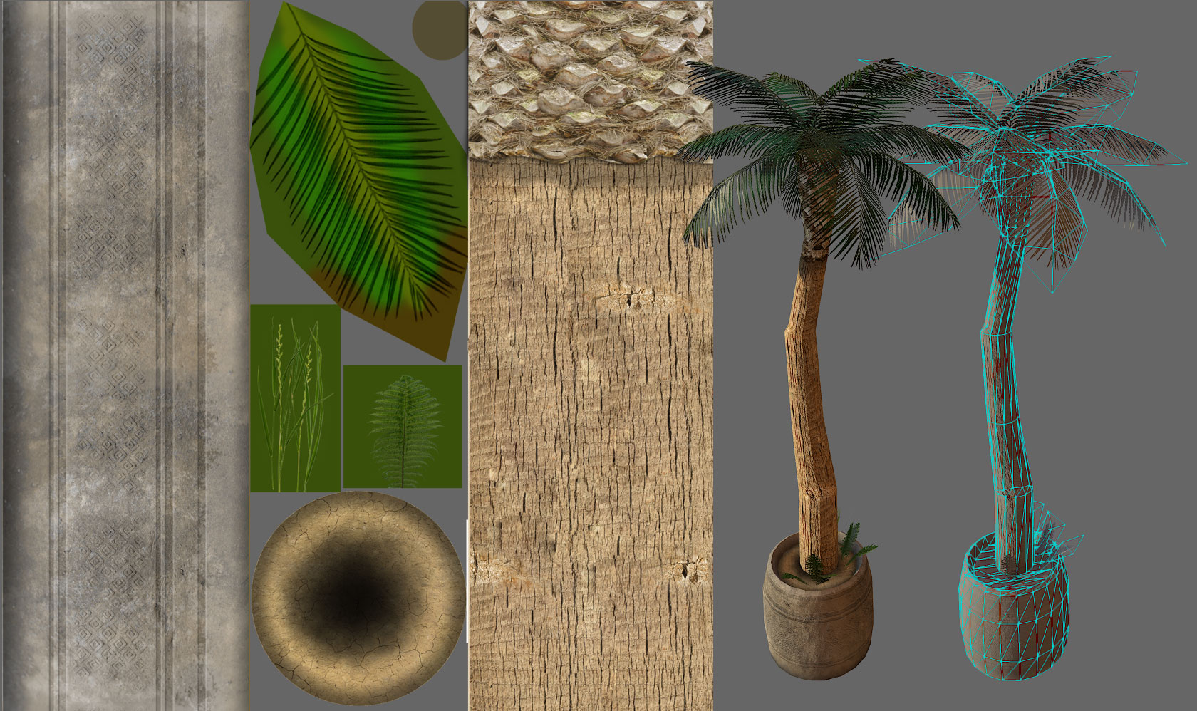 Hotel scene palm tree